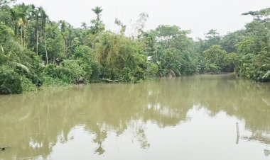 লালমোহনে ঘূর্ণিঝড় রেমালের প্রভাবে পানিতে ভেসে গেছে কোটি টাকারও অধিক মাছ