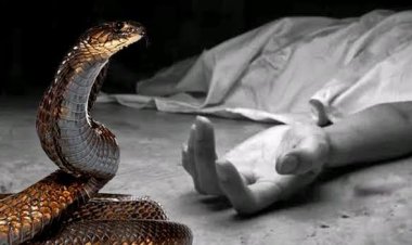 বোরহানউদ্দিনে সাপের কামড়ে বৃদ্ধের মৃত্যু