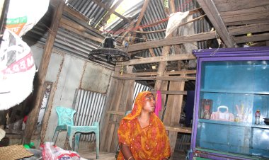 ভাঙা ঘরে জয়তুন বিবির মানবেতর জীবন