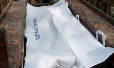 চরফ্যাশনে অটোরিকশা থেকে ছিটকে পড়ে প্রাণ গেল শিশুর