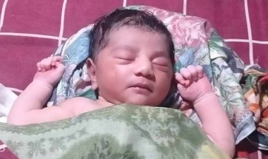 ‘লালমোহন নৌরুটের লঞ্চে সন্তান প্রসব, মা-শিশুর আজীবন ভাড়া ফ্রি’