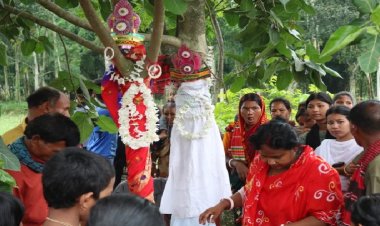 ঢাকঢোল পিটিয়ে দুই গাছের বিয়ে