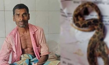 ছোবল দেওয়া রাসেল ভাইপার নিয়ে হাসপাতালে কৃষক
