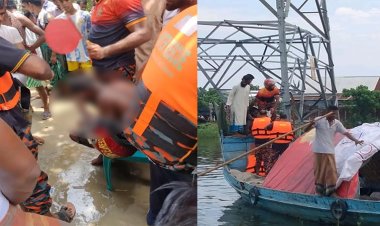 পাগলের দাপটে বিদ্যুৎ বিচ্ছিন্ন ৩ উপজেলা!