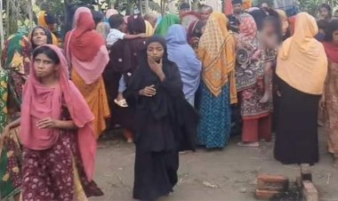 ভাইয়ের মৃত্যুর সংবাদে বোনেরও মৃত্যু