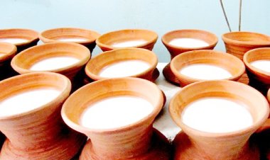 জিআই পণ্যের স্বীকৃতি পেল ভোলার মহিষের দুধের ‘কাঁচা দই’