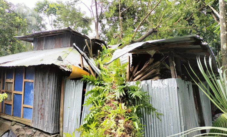 আকস্মিক ঘূর্ণিঝড়ে লালমোহনে ব্যাপক ক্ষতি