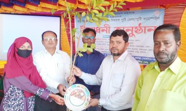 লালমোহনে পুষ্টি মেলায় ১৮০ শিক্ষার্থী উপহার পেল গাছের চারা ও পুষ্টি প্লেট