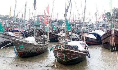 মা ইলিশ রক্ষায় অভিযান; তজুমদ্দিনে সর্বোচ্চ সতর্ক অবস্থানে থাকবে প্রশাসন