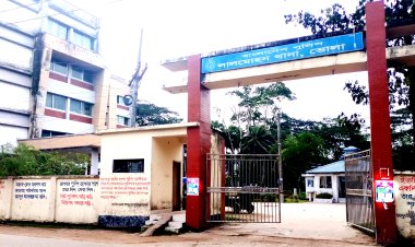 লালমোহনে সাপের কামড়ে গৃহবধূর মৃত্যু