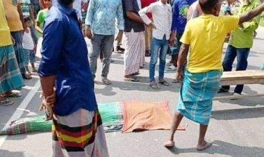 বোরহানউদ্দিনে বাস চাপায় কৃষক নিহত