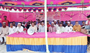 লালমোহনে বিএনপির কর্মী সমাবেশ