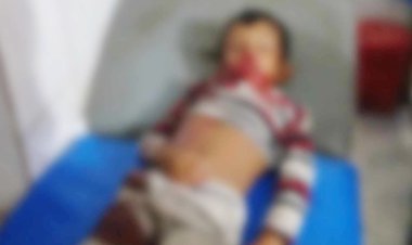 লালমোহনে অটোরিকশার ধাক্কায় শিশু নিহত