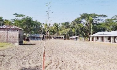 চরফ্যাশনে মাদরাসার খেলার মাঠে চাষ দিয়ে আলু আবাদের প্রস্তুতি!