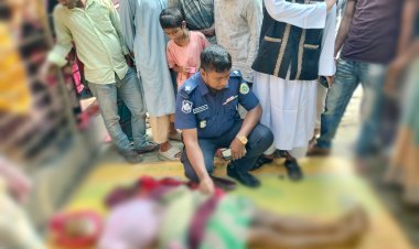 লালমোহনে বিদ্যুতায়িত হয়ে বৃদ্ধ নিহত