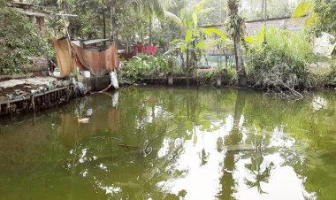 লালমোহনে পানিতে ডুবে মরলো এক বছরের ফারহান