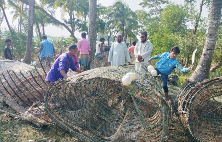 চরফ্যাশনে পাঙাশের পোনা নিধনের অবৈধ ফাঁদ উদ্ধার