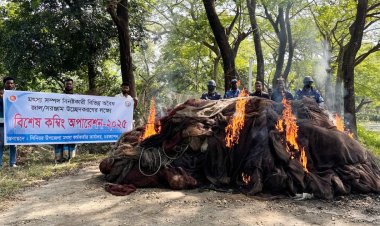 মেঘনা নদী থেকে ৫২ লাখ টাকার অবৈধ বেহুন্দি জাল উদ্ধার