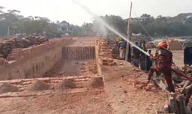 মনপুরায় অবৈধ ইটভাটা মালিককে আড়াই লাখ টাকা জরিমানা