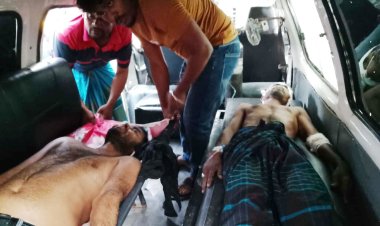 লালমোহনে অটোরিকশা-পিকআপ সংঘর্ষে আহত ৬